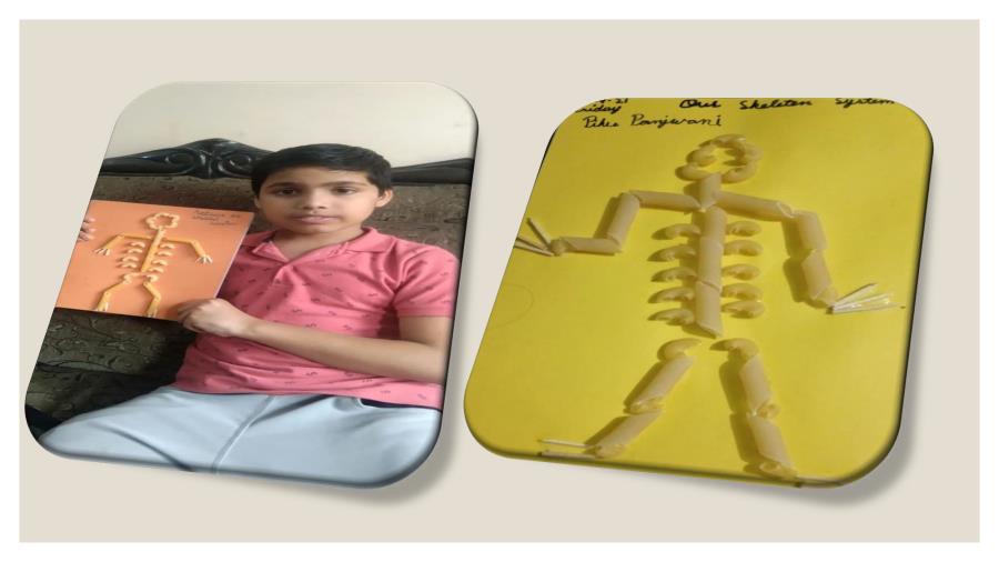 CLASS V- ACTIVITY ON SKELETON SYSTEM