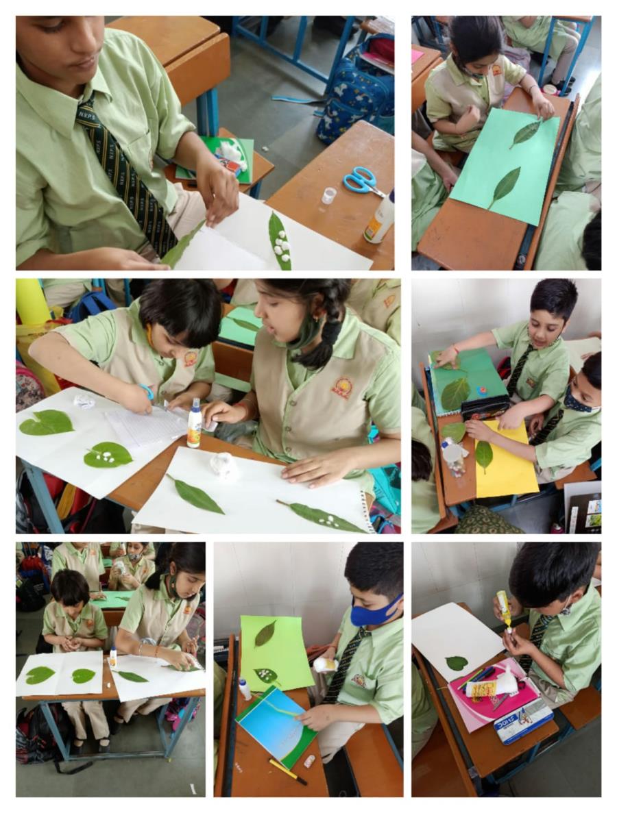 SOCIAL SCIENCE ACTIVITY
