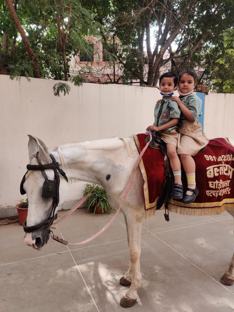 Horse Riding time - fun